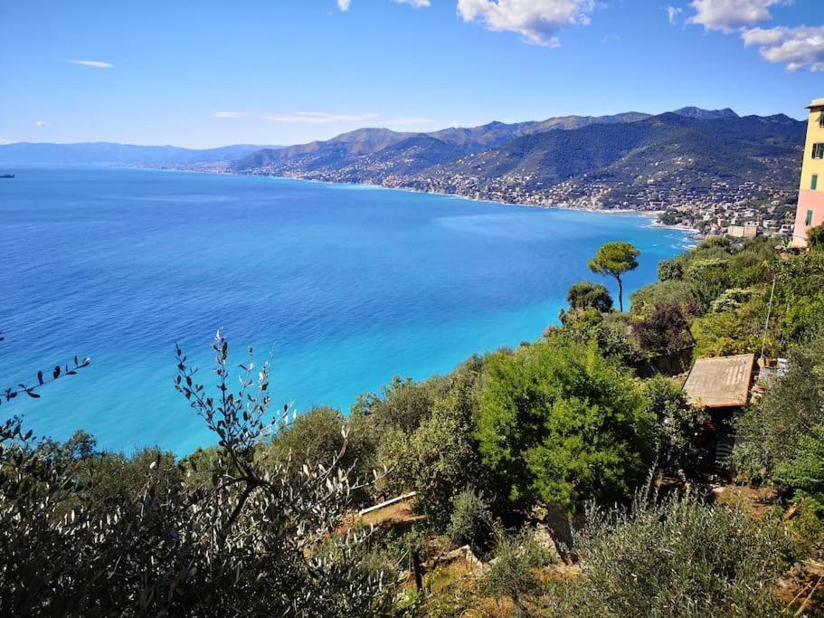 Villa Olivari - Apt Il Melograno Camogli Exterior photo